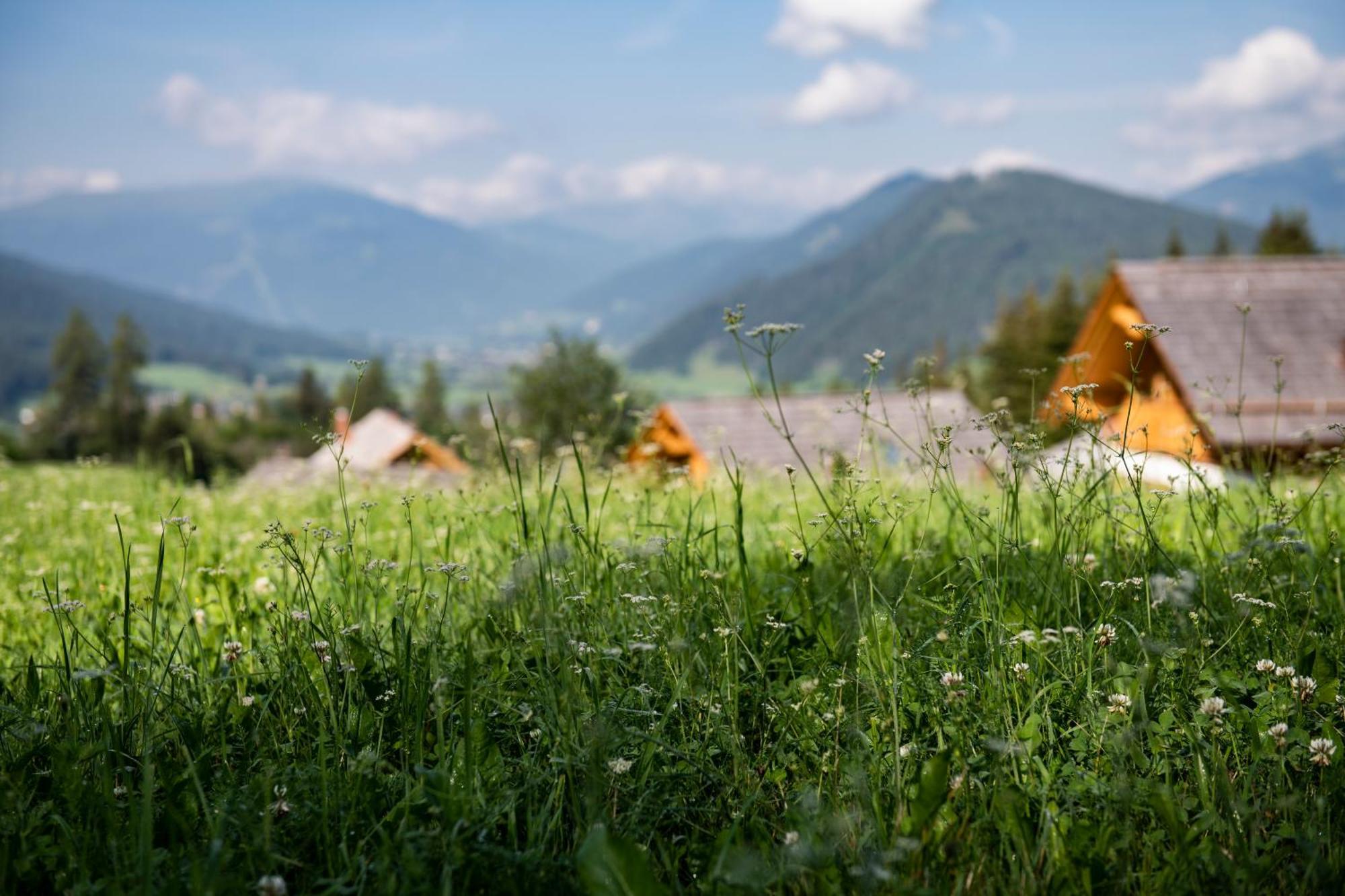 Lerchpeuntgut Alpenfreud Apartments 塔姆斯韦格 外观 照片