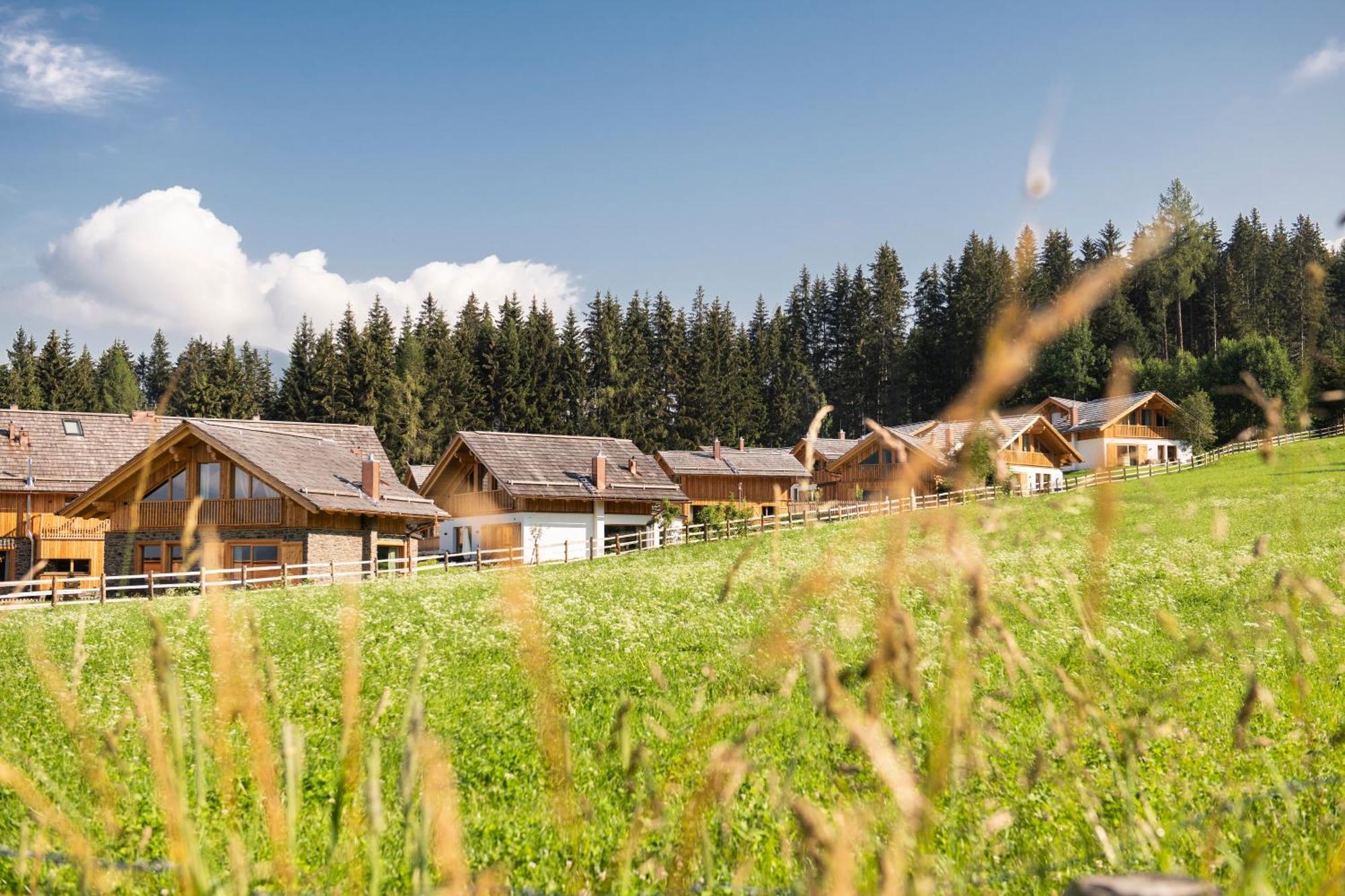 Lerchpeuntgut Alpenfreud Apartments 塔姆斯韦格 外观 照片